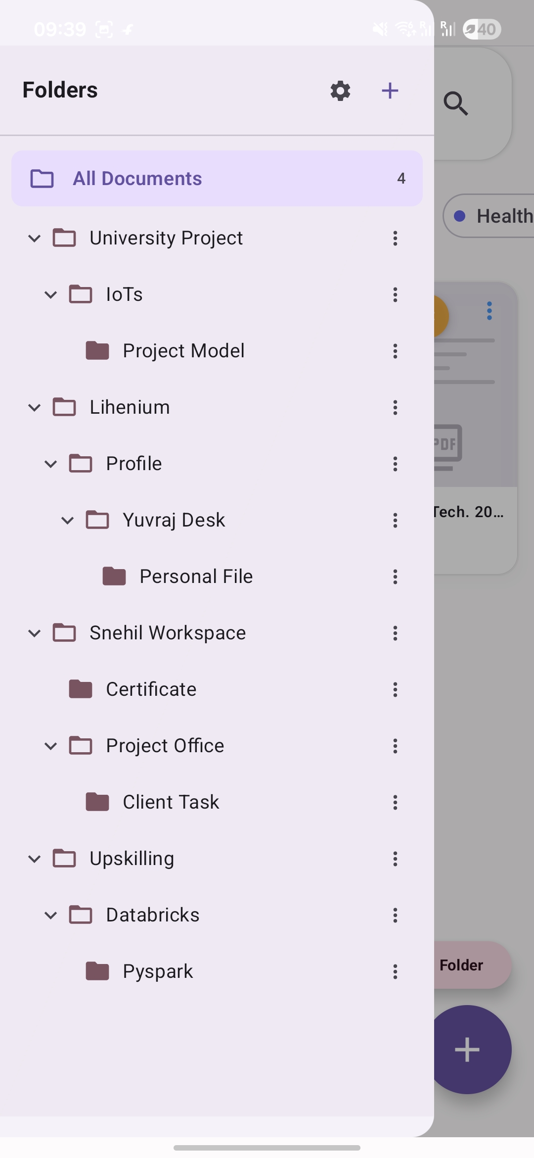 Lihenium folder tree